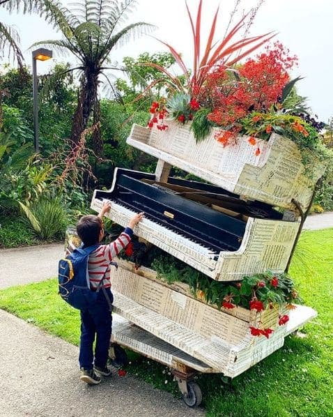Photo of San Francisco Botanical Garden at San Francisco Botanical Garden, 1199, 9th Avenue, Inner Sunset, San Francisco, California, 94122, United States