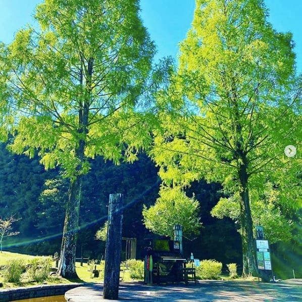 Photo of 四万十緑林公園 at Kagetsugaoka, Shimanto, Takaoka County, Kochi Prefecture, 786-0005, Japan