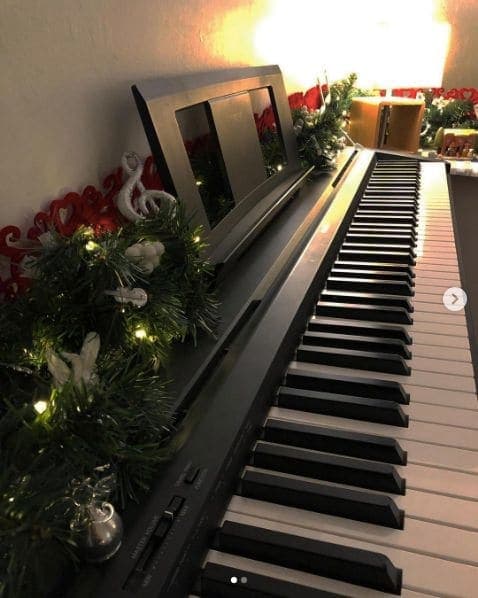 Photo of Music Tree at Organic, Hamilton Park, Highbury, London Borough of Islington, London, Greater London, England, N5 2AA, United Kingdom