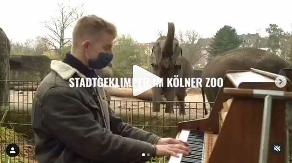 Photo of Kölner Zoo at Terrarium, Lennéplatz, Riehl, Nippes, Cologne, North Rhine-Westphalia, 50735, Germany. \