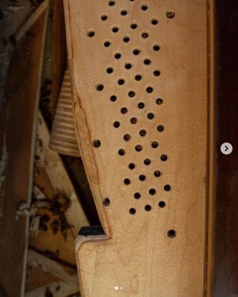 Photo of Chulo's Piano Refinishing at 578, Nepperhan Avenue, Yonkers, Westchester, New York, 10701, United States