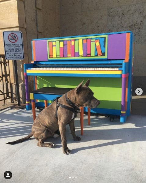 Public piano in Waterloo, Iowa, United States