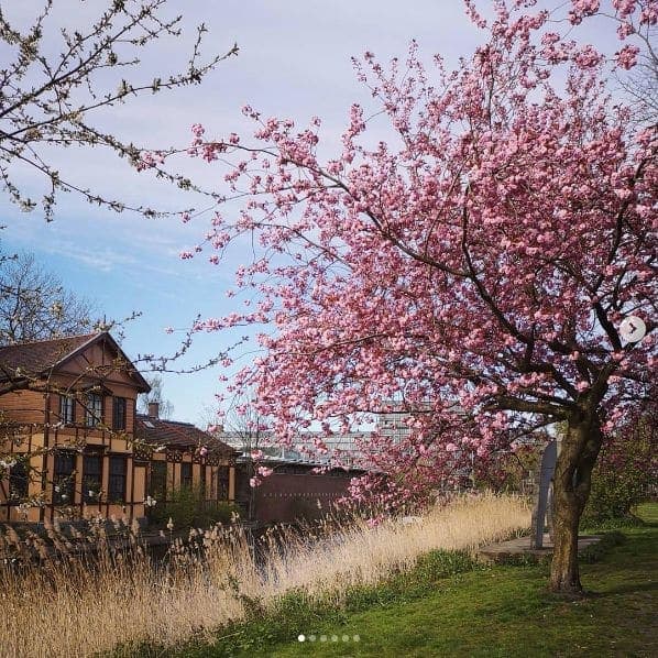 Photo of Amsterdam, Netherlands at Albert Heijn to go, 13A, Stationsplein, Centrum, Amsterdam, North Holland, Netherlands, 1012AB, Netherlands. springtime in the city 🌸
