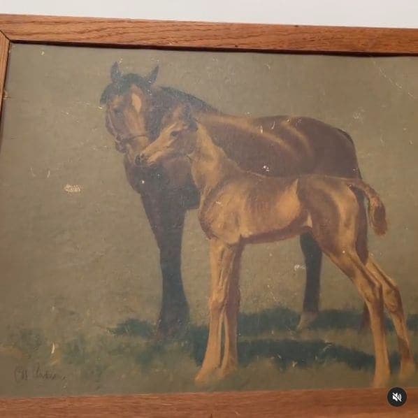 Photo of The Royal Cuckoo Market and Horsies Saloon at 3368;3370, 19th Street, Mission District, San Francisco, California, 94110, United States