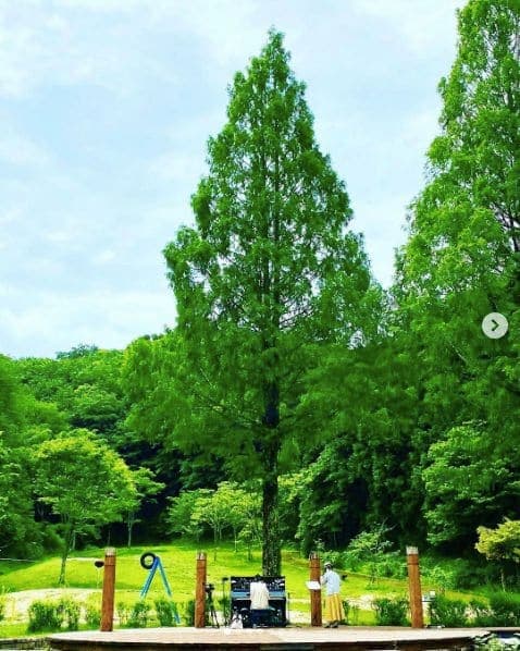 Photo of 四万十緑林公園 at Kagetsugaoka, Shimanto, Takaoka County, Kochi Prefecture, 786-0005, Japan