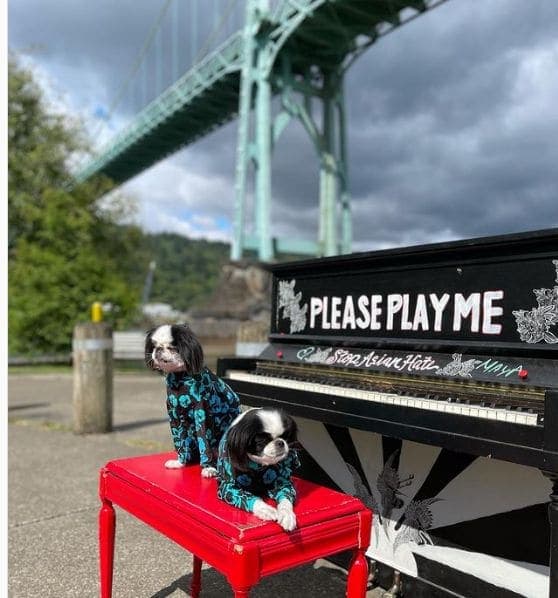 Photo of Cathedral Park at 8687, North Edison Street, Cathedral Park, Portland, Multnomah County, Oregon, 97203, United States