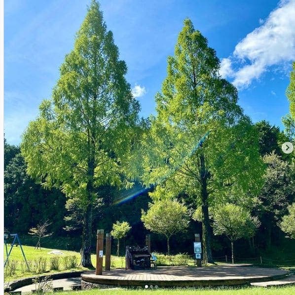 Photo of 四万十緑林公園 at Kagetsugaoka, Shimanto, Takaoka County, Kochi Prefecture, 786-0005, Japan