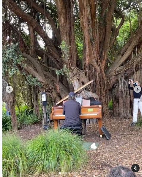 Photo of San Francisco Botanical Garden at San Francisco Botanical Garden, 1199, 9th Avenue, Inner Sunset, San Francisco, California, 94122, United States