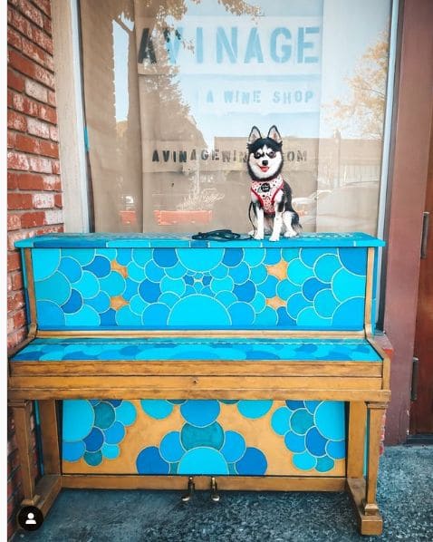 Public piano in Petaluma, California, United States