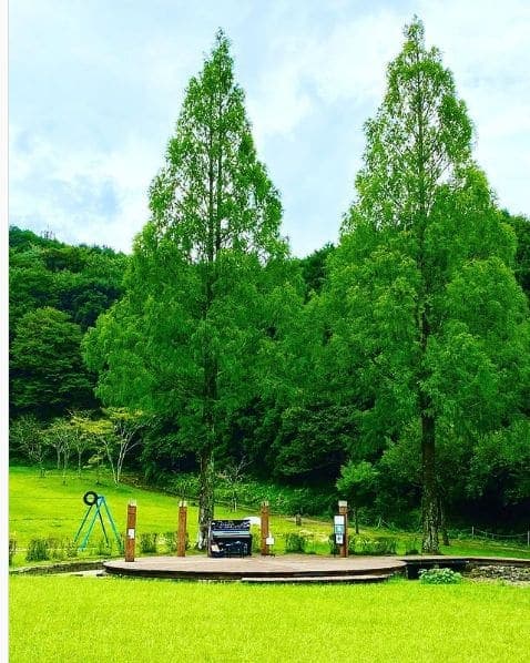 Photo of 四万十緑林公園 at Kagetsugaoka, Shimanto, Takaoka County, Kochi Prefecture, 786-0005, Japan