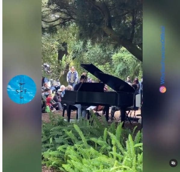 Photo of San Francisco Botanical Garden at San Francisco Botanical Garden, 1199, 9th Avenue, Inner Sunset, San Francisco, California, 94122, United States