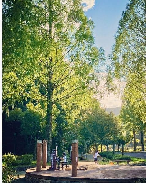 Photo of 四万十緑林公園 at Kagetsugaoka, Shimanto, Takaoka County, Kochi Prefecture, 786-0005, Japan