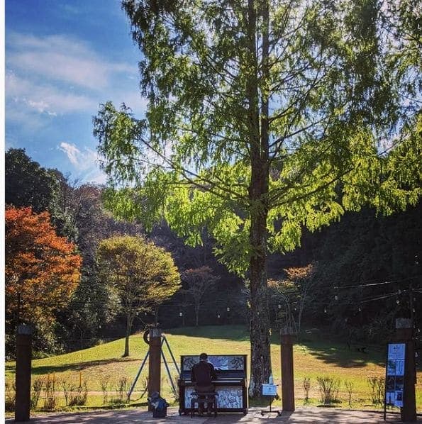 Photo of 四万十緑林公園 at Kagetsugaoka, Shimanto, Takaoka County, Kochi Prefecture, 786-0005, Japan