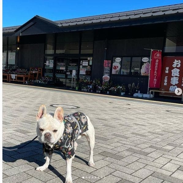 Photo of 道の駅日光 日光街道ニコニコ本陣 at 日本のこころのうたミュージアム 船村徹記念館, 道の駅日光 日光街道ニコニコ本陣, 今市, Nikko, Tochigi Prefecture, 3211273, Japan