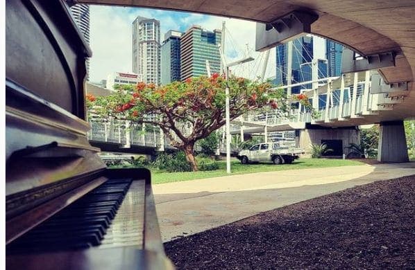 Photo of Kurilpa Bridge at Kurilpa Bridge, Riverside Expressway, Brisbane City, Queensland, 4004, Australia