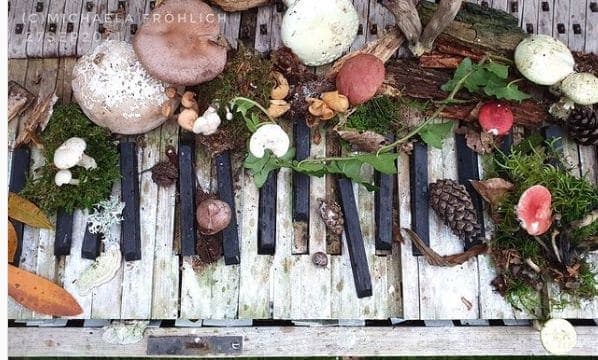 Photo of Prague, Czech Republic at Old Town, Prague, Czechia. Did you know? Mushrooms inspired some composers. One of them was Vaclav Halek,…