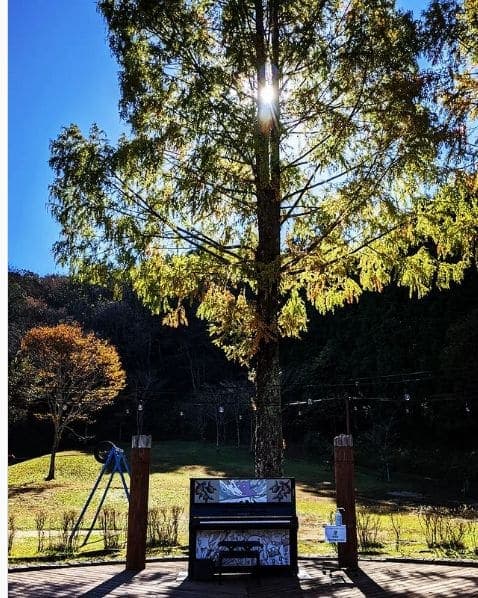 Photo of 四万十緑林公園 at Kagetsugaoka, Shimanto, Takaoka County, Kochi Prefecture, 786-0005, Japan