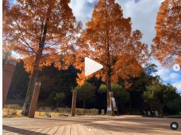 Photo of 四万十緑林公園 at Kagetsugaoka, Shimanto, Takaoka County, Kochi Prefecture, 786-0005, Japan