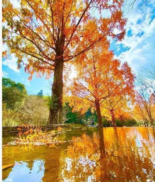 Photo of 四万十緑林公園 at Kagetsugaoka, Shimanto, Takaoka County, Kochi Prefecture, 786-0005, Japan