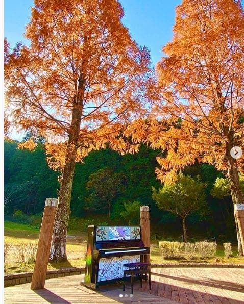 Photo of 四万十緑林公園 at Kagetsugaoka, Shimanto, Takaoka County, Kochi Prefecture, 786-0005, Japan