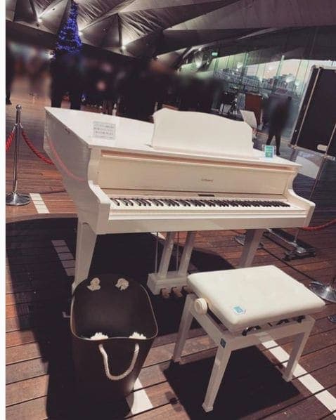 Photo of 横浜港大さん橋国際客船ターミナル at Yokohama International Passenger Terminal, Osanbashi-dori Avenue, Yamashitacho, Naka Ward, Yokohama, Kanagawa Prefecture, 231-0017, Japan