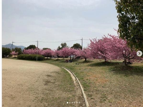 Photo of 岡南飛行場 at Kounan Airport, 浦安豊成線, Urayasu-minamimachi, Minami Ward, Okayama, Okayama Prefecture, 701-0296, Japan
