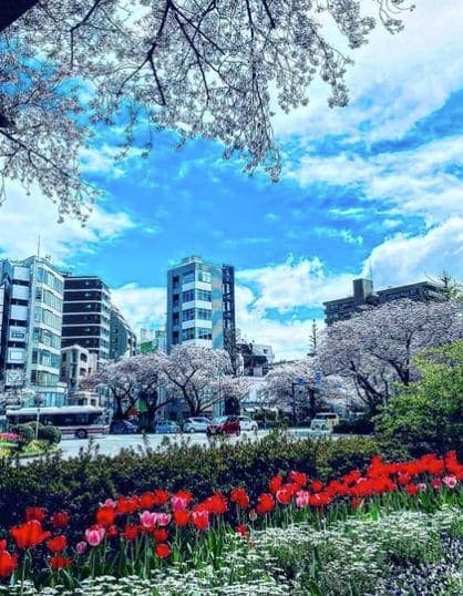 Photo of Kunitachi-Shi, Tokyo, Japan at 国立市役所, Koshu Kaido, 谷保, Kunitachi, Tokyo, 186-0011, Japan. EnglishAfrikaansČeštinaDanskDeutschΕλληνικάEnglishEnglish (UK)Español…