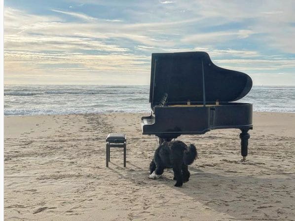 Public piano in North Holland, Netherlands