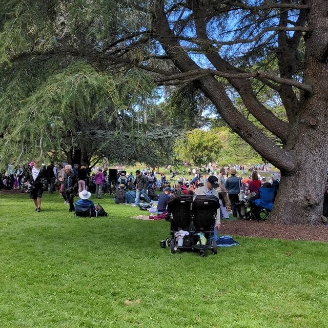 Photo of San Francisco Botanical Garden at San Francisco Botanical Garden, 1199, 9th Avenue, Inner Sunset, San Francisco, California, 94122, United States.…