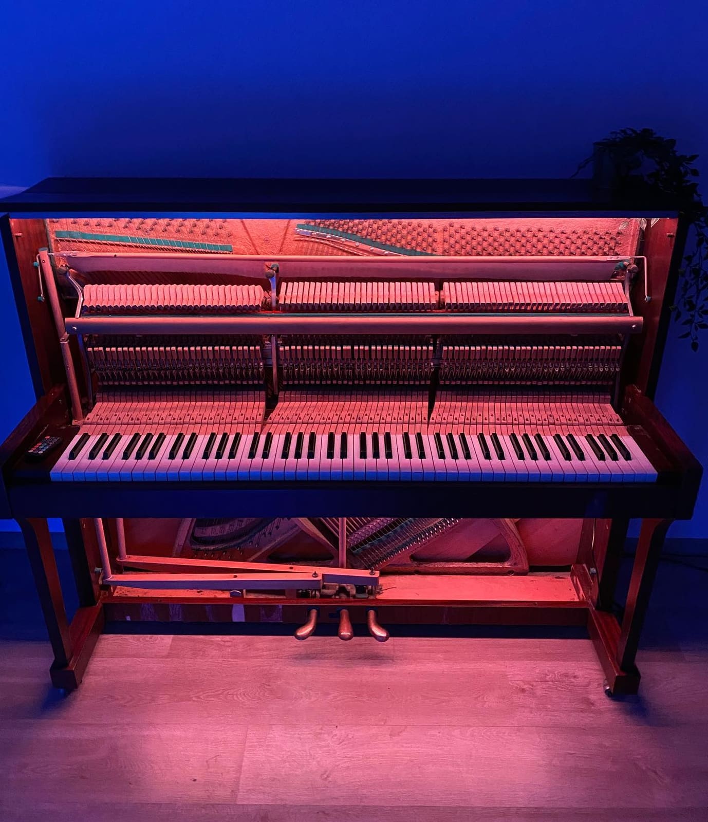 Public piano in Moscow, Moscow, Russia