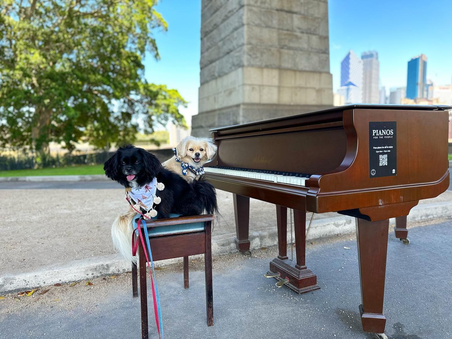 Public piano in Sydney, New South Wales, Australia