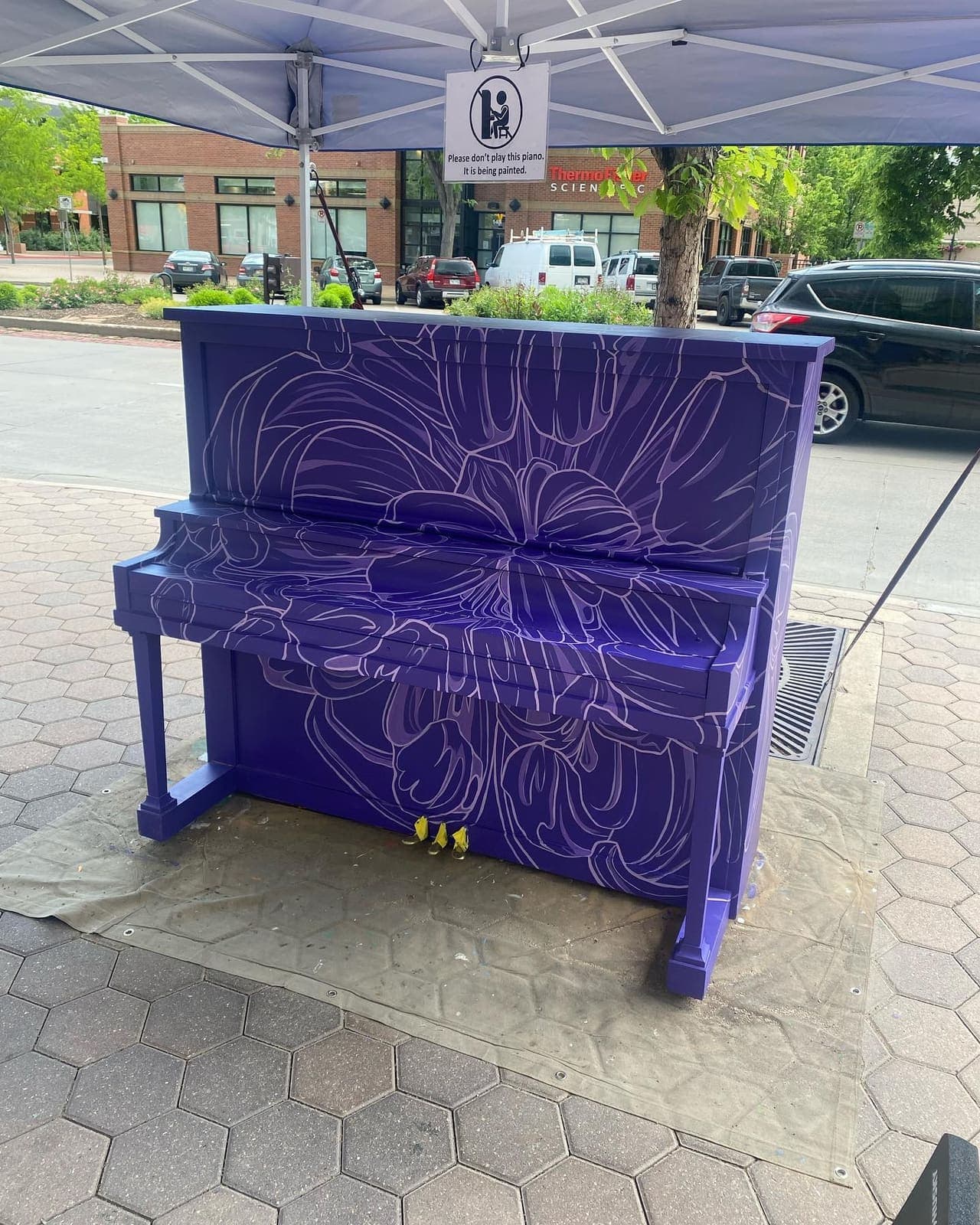 Photo of Old Town Fort Collins, Co at 2169, Stetson Creek Drive, Saddle Brook, Fort Collins, Larimer County, Colorado, 80528, United States. Gorgeous 💜