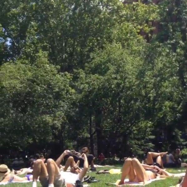 Photo of Washington Square Park at Washington Square Fountain, Washington Square South, Washington Square Village, Manhattan Community Board 2, Manhattan, New York County, New…